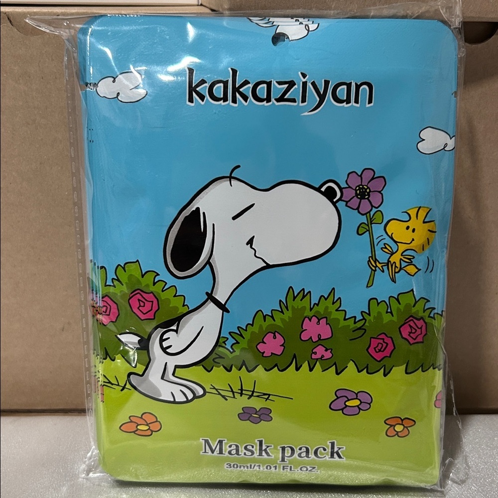Snoopy face masks set of 5